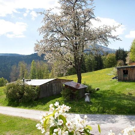 Landhof Steinhuette Bayerisch Eisenstein Exterior foto